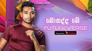 What is Futureverse Powered by Dialog