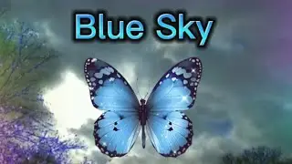 Relaxing Sleep Music . Song Blue Sky 1 Written By Linda Wells , Video By Linda Wells . Copyrighted 🦋