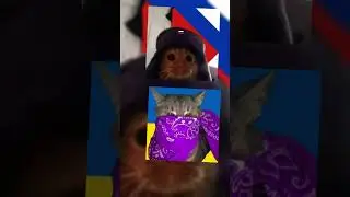 Аватарки для Двух Бро🤙  Все Аватарки в ТГК 🤩 