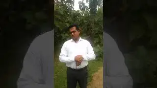 joke/ ঝোঁক/anilida / আবু ইসহাক এর ঝোঁক ছোট গল্প