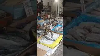 Харьков Салтовка 2 февраля 2024 года. Рынок на 602. СОБАКИ И МАКС!!!