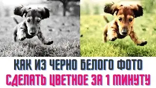 Как из черно белого фото сделать цветное