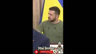 Зеленский жжет    