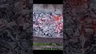 шашлычок 👌🥃