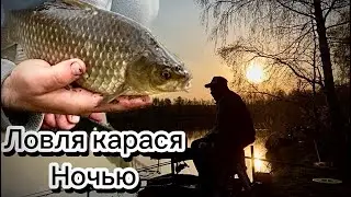Ловля карася ночью ! Рыбалка весной ! Жор карася перед нерестом ! 