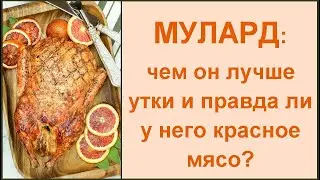 На что похоже мясо утки муларда и почему на него высокая цена