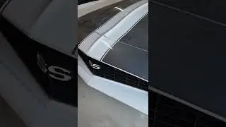 1969 camaro endura bumper