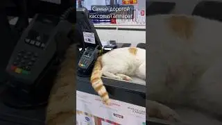 Случай на кассе