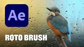 After Effects: Using the Roto Brush and Refine Edge Tool