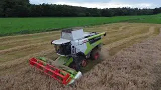 SPRING BARLEY HARVESTED IN 4 MONTHS CUMBRIA 2023!!! CLAAS LEXION 6700 HARVESTER