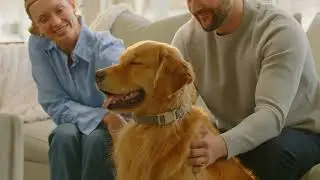 Tweezerman Pet Collection is Here