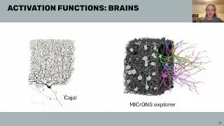 W1D5 - Microcircuits - Intro