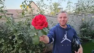 Приехал Домой ! Бабушка Выходит Замуж ! Самвел Приготовил Букет 💐