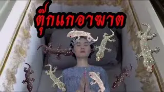 รวมคลิปละครสั้น ตุ๊กแก