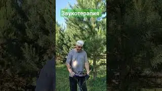 Звукотерапия. Глюкофон. #виталийалтайский #целительство #горныйалтай