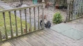 King Kenny Greets Mr Black