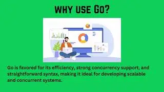 Python vs Go: Choosing the Right Language for Your Next Project