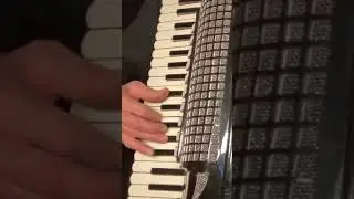 I Want To Hold Your Hand #thebeatles #accordion #1960s #fisarmonica