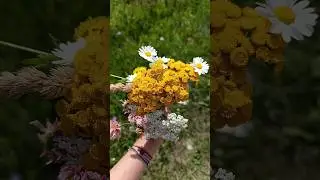 Красота в глазах смотрящего #лето2024
