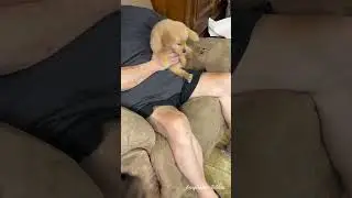Nail Trimming - Mr. Red