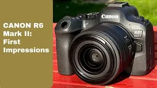 Canon R6 Mark II - First Impressions: Better sensor, higher speed