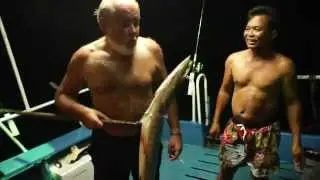 хорошая баракуда