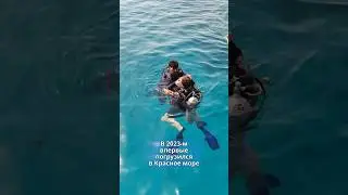 Первый опыт дайвинга  #КрасноеМоре #Египет #Кусто #Монако #дайвинг