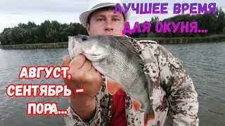 ЛОВЛЯ НА МИКРОДЖИГ,,,ЛУЧШЕЕ ВРЕМЯ ДЛЯ ЛОВЛИ 100%...