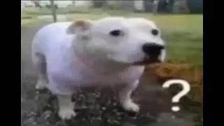 Huh
