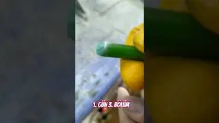 TAKİPTE KAL SONUCU KAÇIRMA