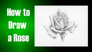 How to Draw a Rose with Simple Shading