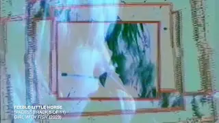 feeble little horse - Paces [Official Audio]