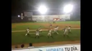 Las toritas de tijuana