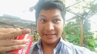 Ang mga tanim kung gulay sa likod ng bahay