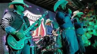 La vieja escuela en vivo