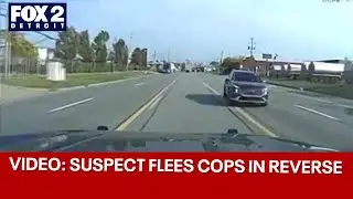 Suspect flees from Dearborn police chase driving in reverse