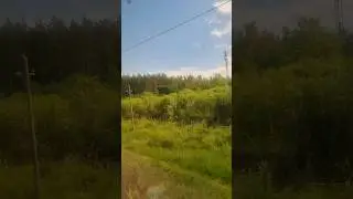 Дорога из окна поезда 🚆  Каунас- Вильнюс.#shorts#йорк #york#поезд#дорога_из_окна_поезд#