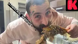 Πως μαγείρεψε ο Αlex piercer το μπούτι γαλοπούλας
