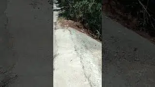 Εγκληματικά επικίνδυνο! ⛔ Criminally dangerous!