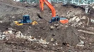 шантуй 16