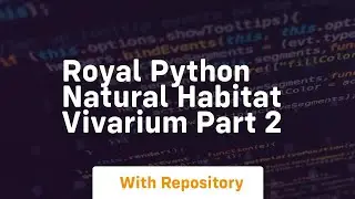 Royal python natural habitat vivarium part 2