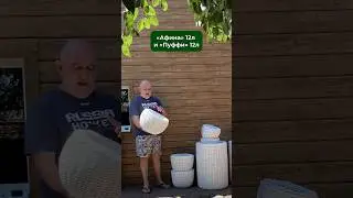 Неповторимая классика 😍 #длясада #дача #кашпоизротанга