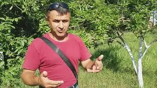 ЧЕГО   БОИТСЯ  В.В.ПУТИН.