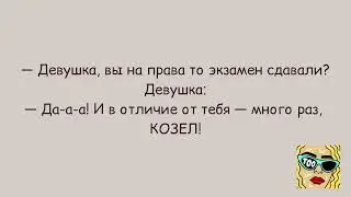 АНЕКДОТЫ ПРО БЛОНДИНОК ● Золотая коллекция смешных анекдотов