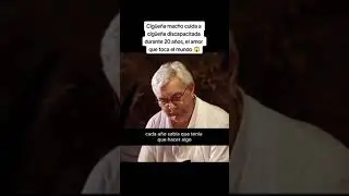 EL AMOR VERDADERO DE UNA CIGUEÑA