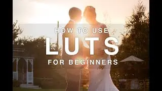 How To Use LUTs For Beginners! - EXPLAINED IN 3 MINUTES!