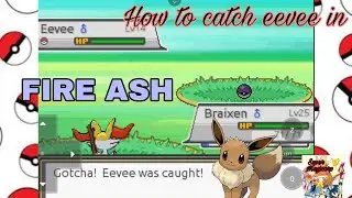 How to catch eevee in Fire Ash pokemon 100% encounter