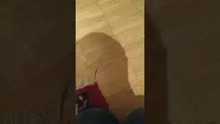 у меня есть умная зарядка xiaomi