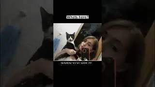 Scary things hidden in normal photos Part#30