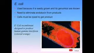 Micro Lecture Recombinant DNA for Exam 2